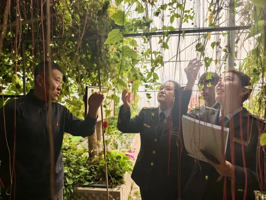 鸡西市市场监管局开展标准化质量提升上门服务