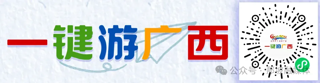 那坡县商务局:联合整治成品油市场 筑牢边境安全防线