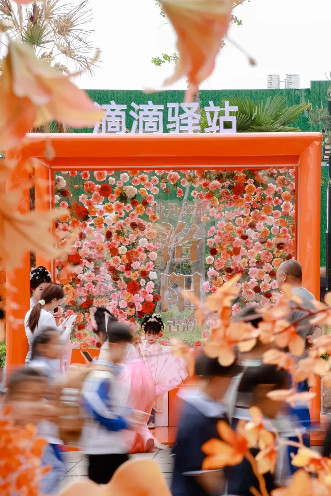 沉浸式融入洛阳牡丹节,滴滴把氛围感营销玩明白了