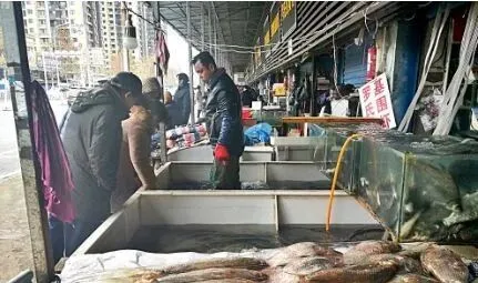触目惊心!新冠肺炎始发地:武汉华南海鲜市场实拍照片曝光!