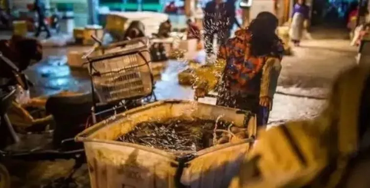 触目惊心!新冠肺炎始发地:武汉华南海鲜市场实拍照片曝光!