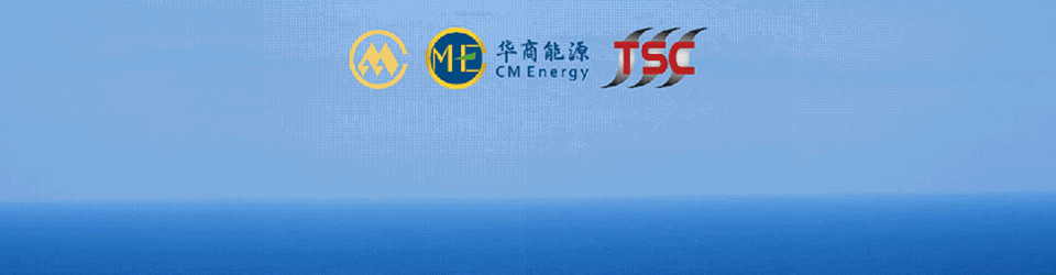 波罗地海指数“失真”,如何了解真实市场?