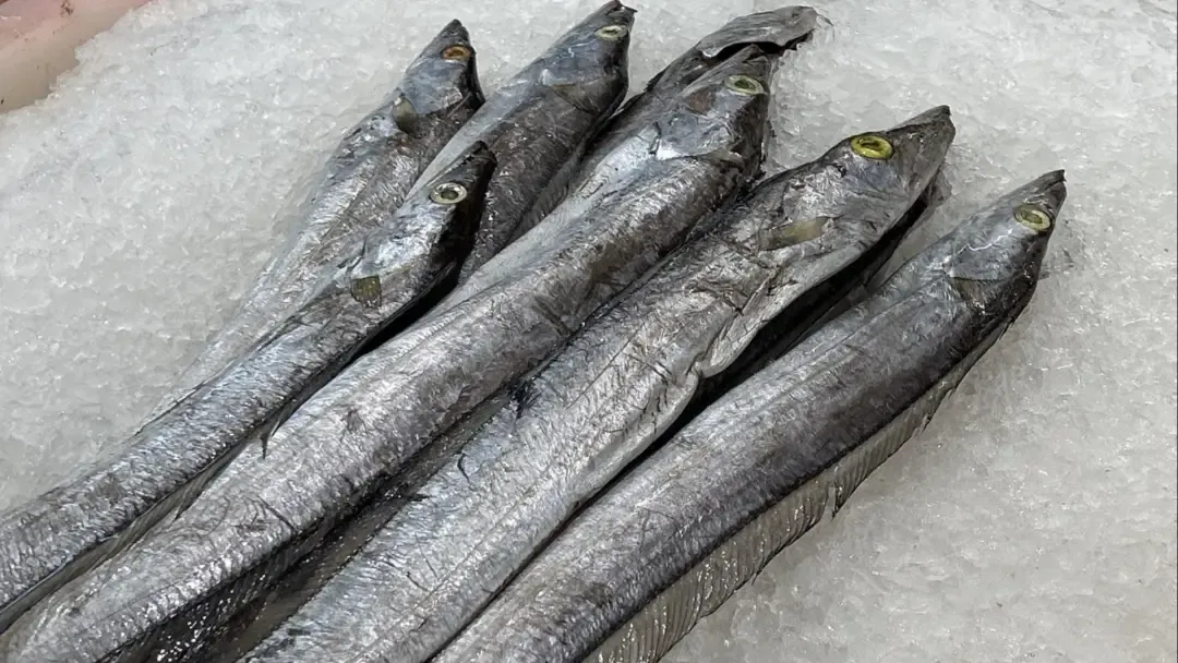 市场上这4种鱼,现在无法人工养殖,都小妙招野生鱼,价格便宜营养高,识货的人抢着买