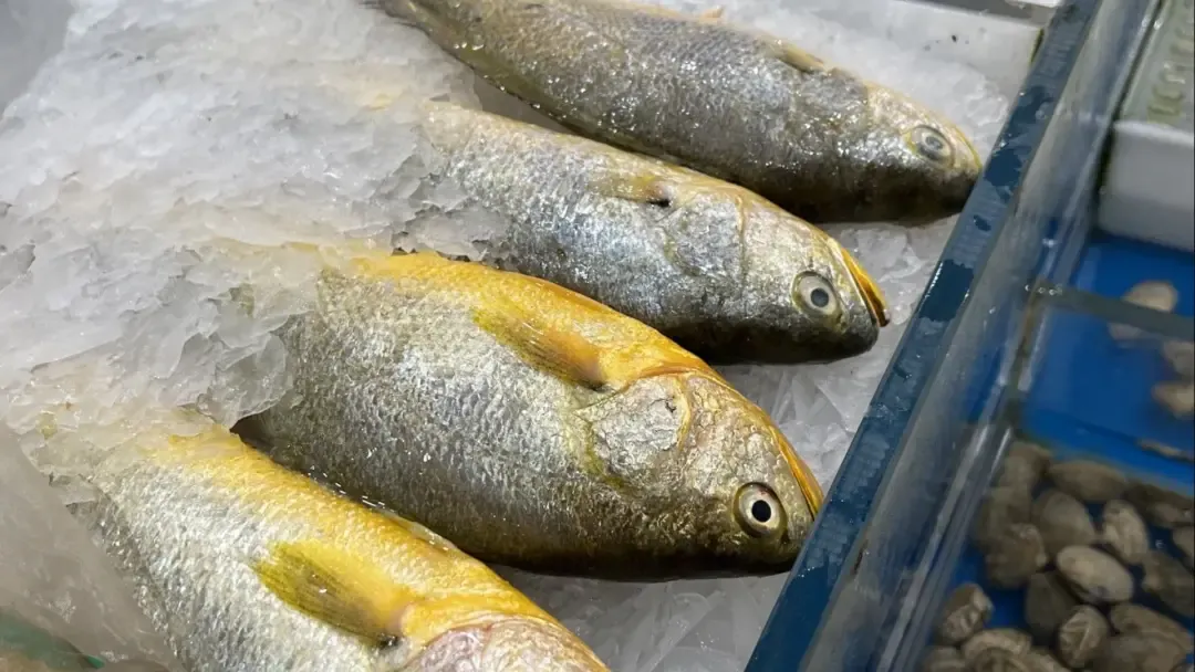 市场上这4种鱼,现在无法人工养殖,都小妙招野生鱼,价格便宜营养高,识货的人抢着买