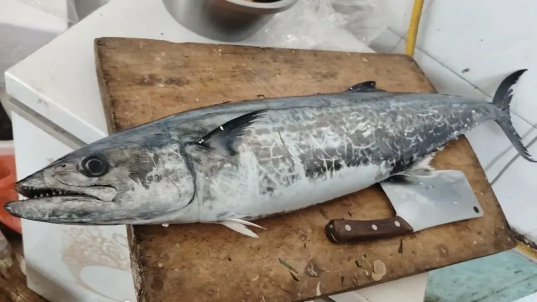 市场上这4种鱼,现在无法人工养殖,都小妙招野生鱼,价格便宜营养高,识货的人抢着买