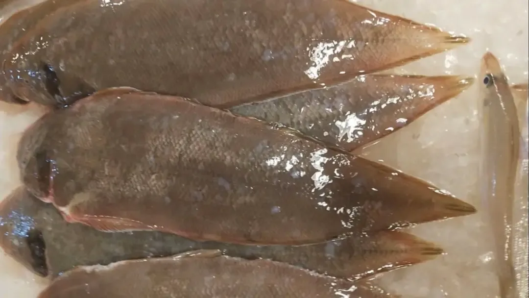 市场上这4种鱼,现在无法人工养殖,都小妙招野生鱼,价格便宜营养高,识货的人抢着买
