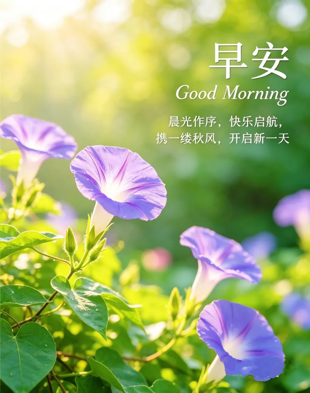 “销售早安正能量软营销,不推销只暖心,客户关系越处越近”