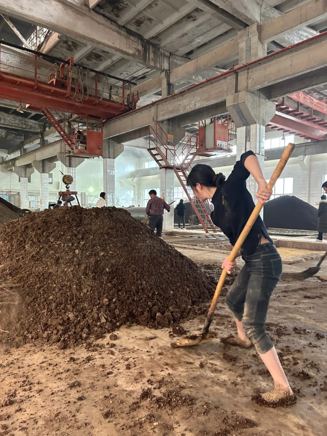 酒厂日常 生活很累 但还是要继续滩酿！