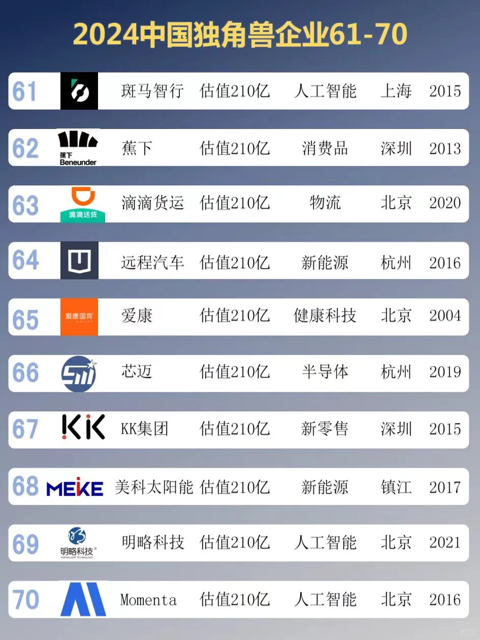 2024中国独角兽企业TOP100