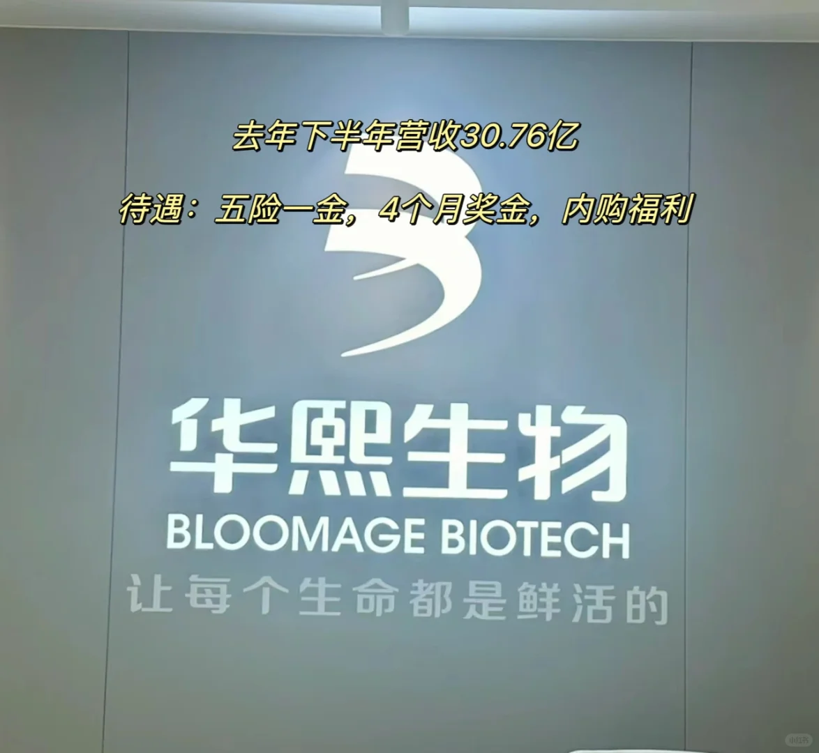 2024去离?蕞近的行业，y美企业‼️