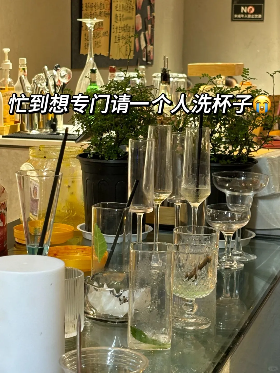 6w开了家9.9r小酒馆3个月回本，说点大实话