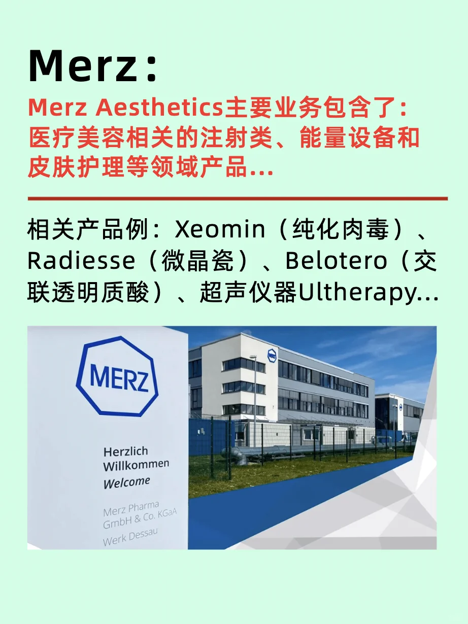 医疗美容六大龙头公司/国内国际企业