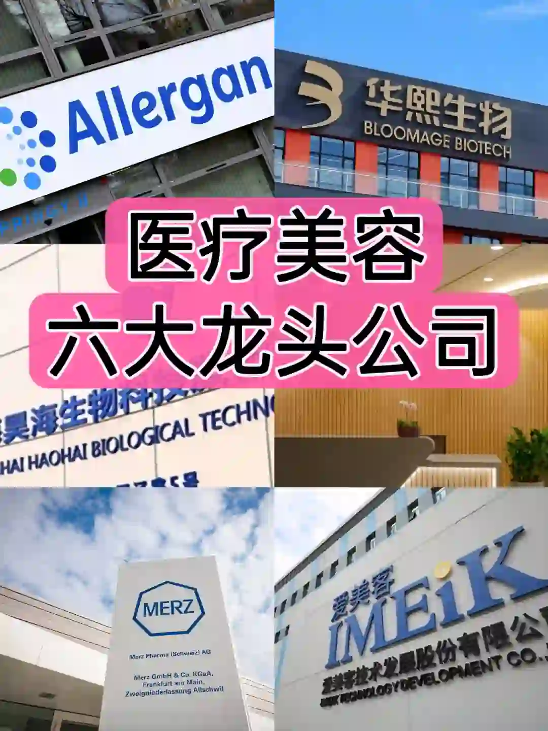 医疗美容六大龙头公司/国内国际企业