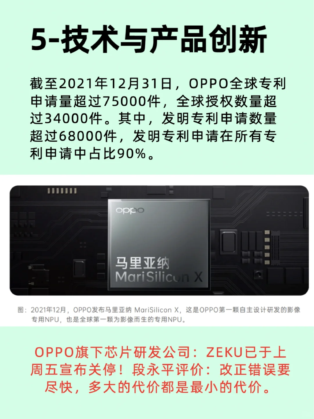 行业Top级企业分析:OPPO