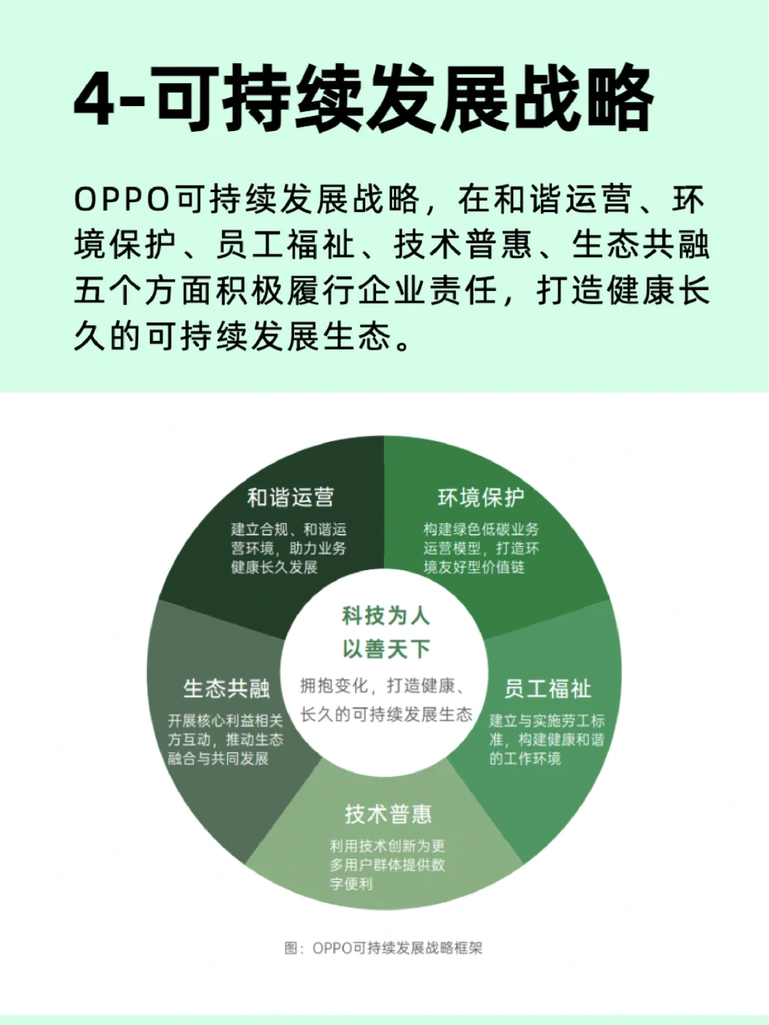 行业Top级企业分析:OPPO