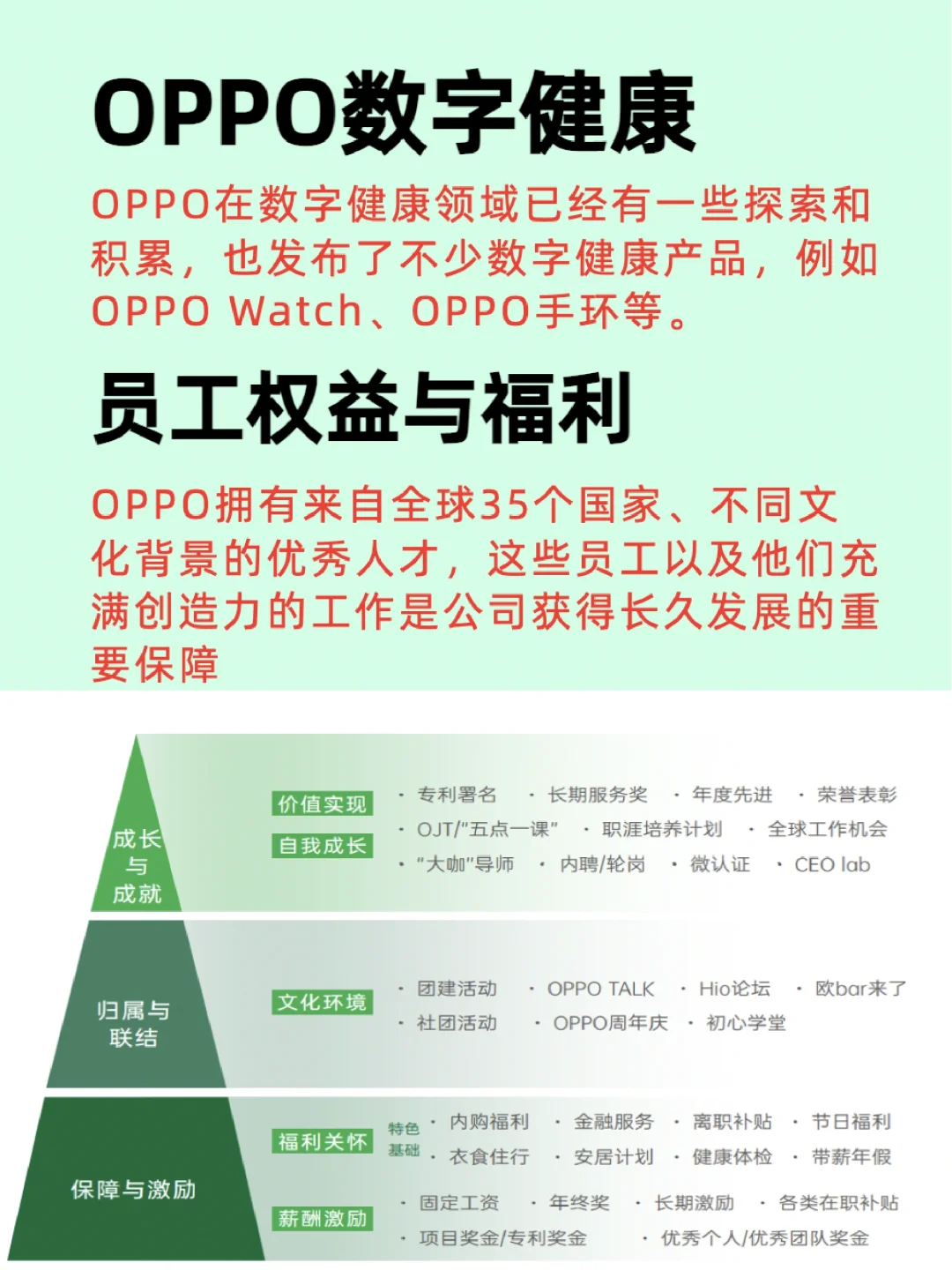行业Top级企业分析:OPPO