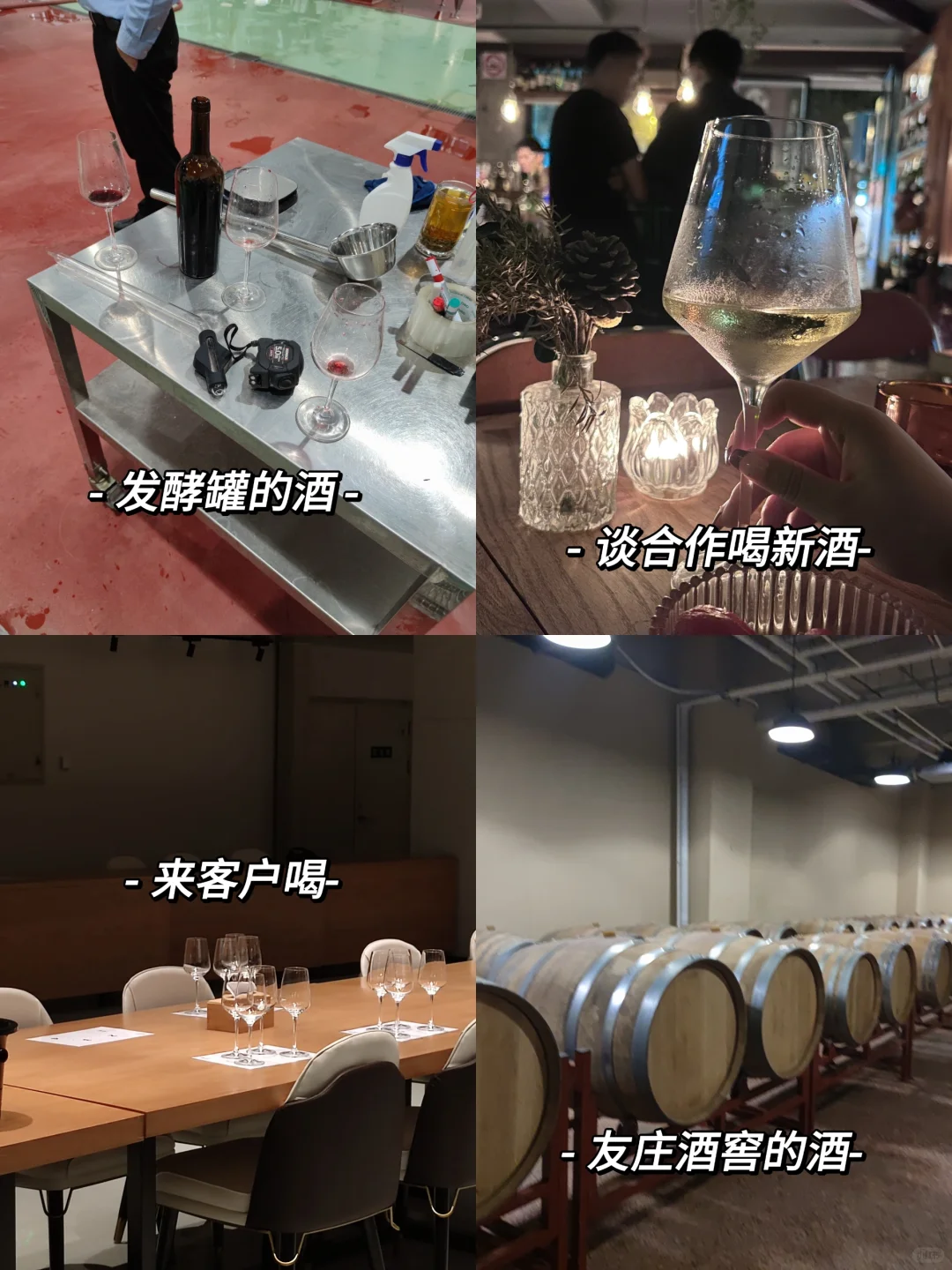 在酒庄工作第122天，干啥都是0-1经验值up！