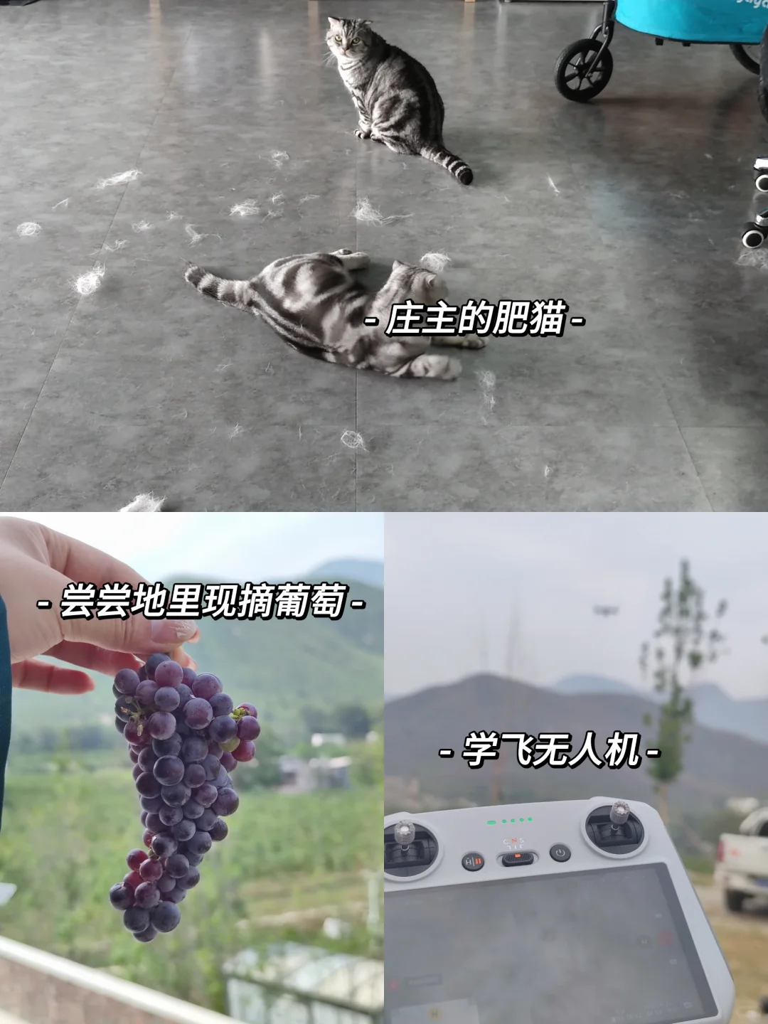 在酒庄工作第122天，干啥都是0-1经验值up！