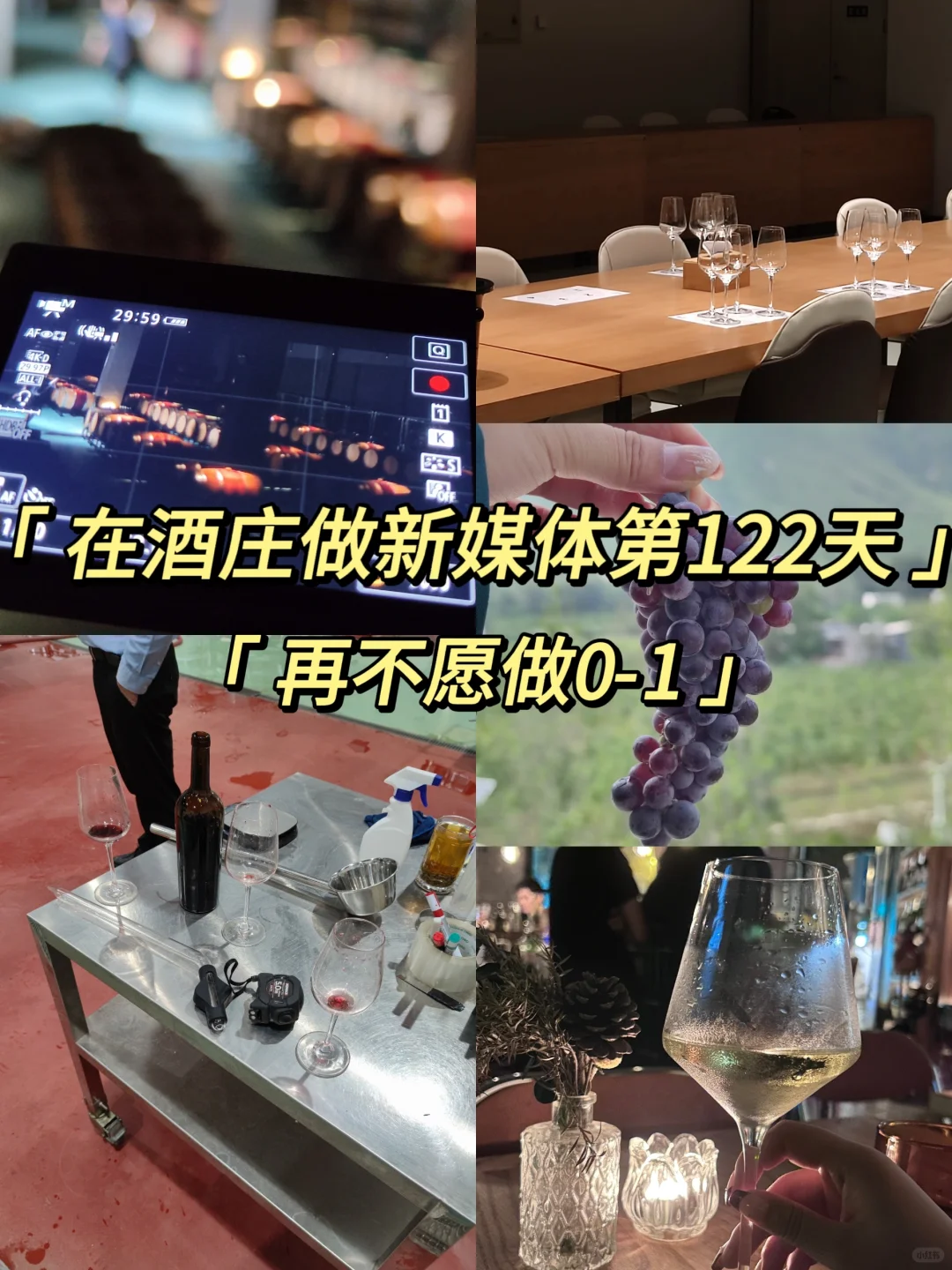 在酒庄工作第122天，干啥都是0-1经验值up！