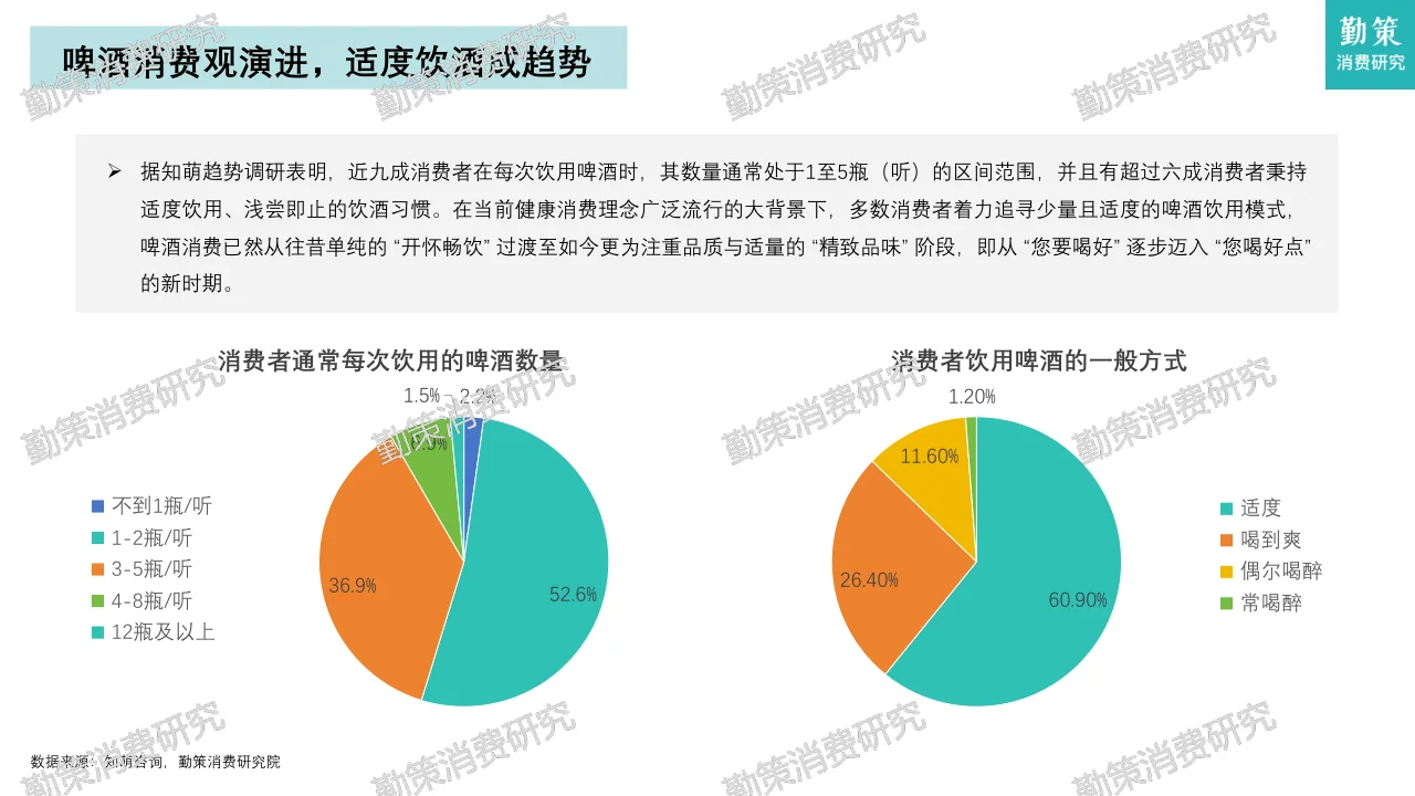 中国啤酒行业消费研究报告