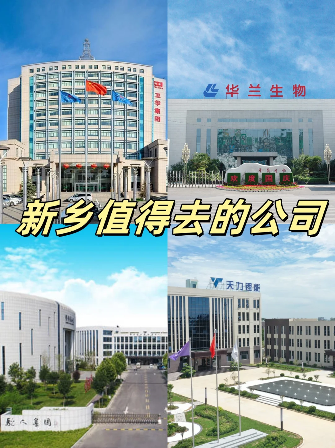 新乡宝藏神仙公司，待遇好