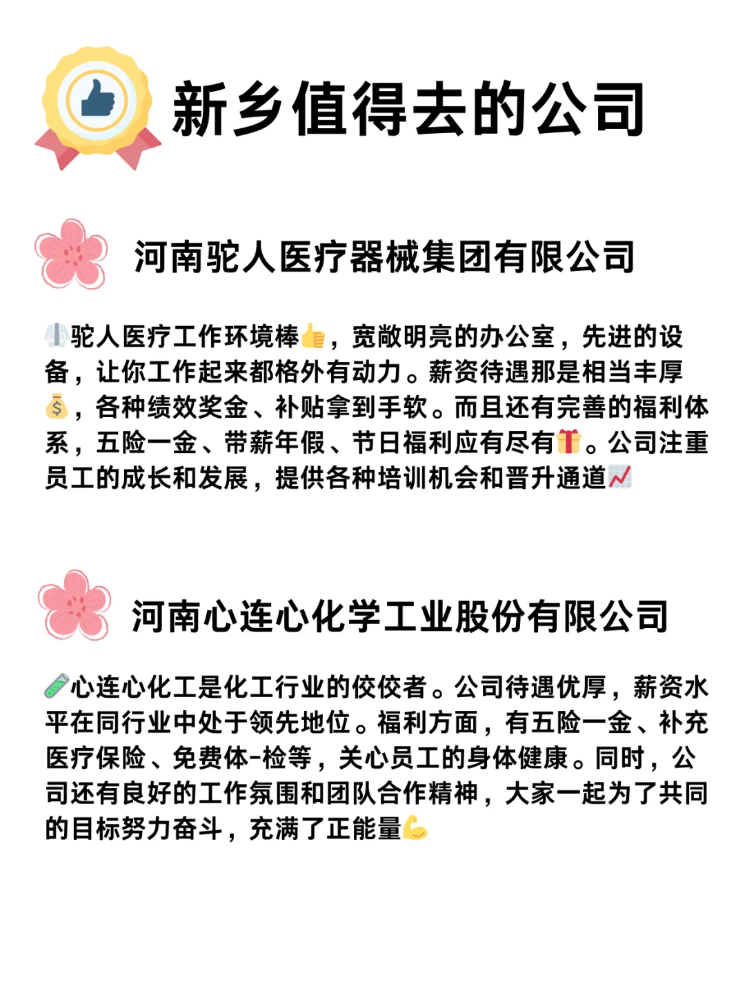 新乡宝藏神仙公司，待遇好