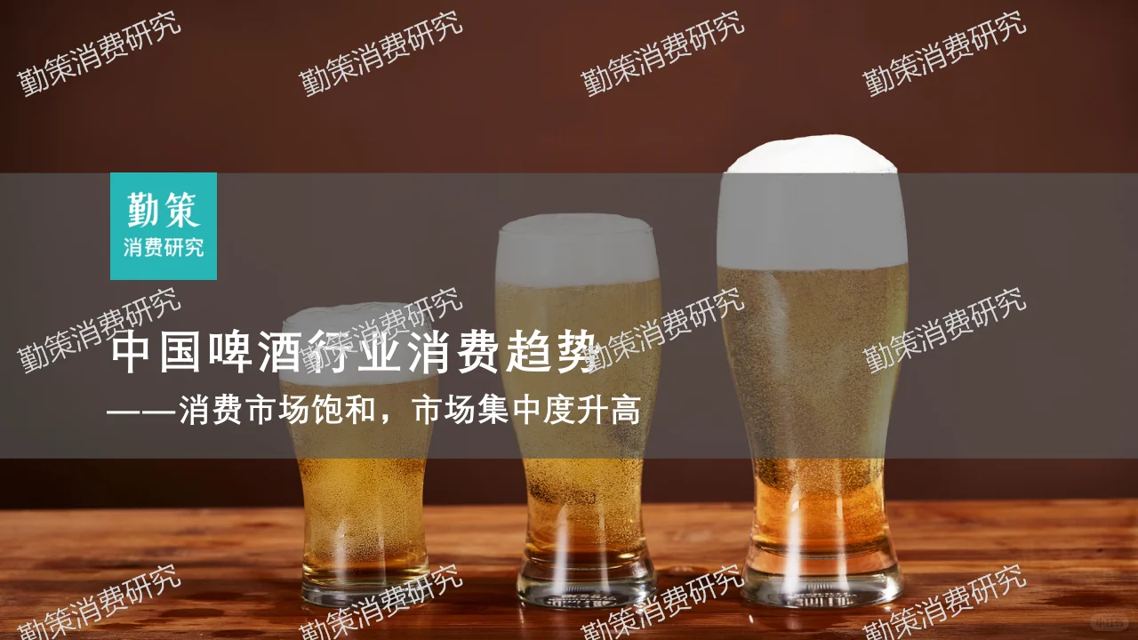 中国啤酒行业消费研究报告