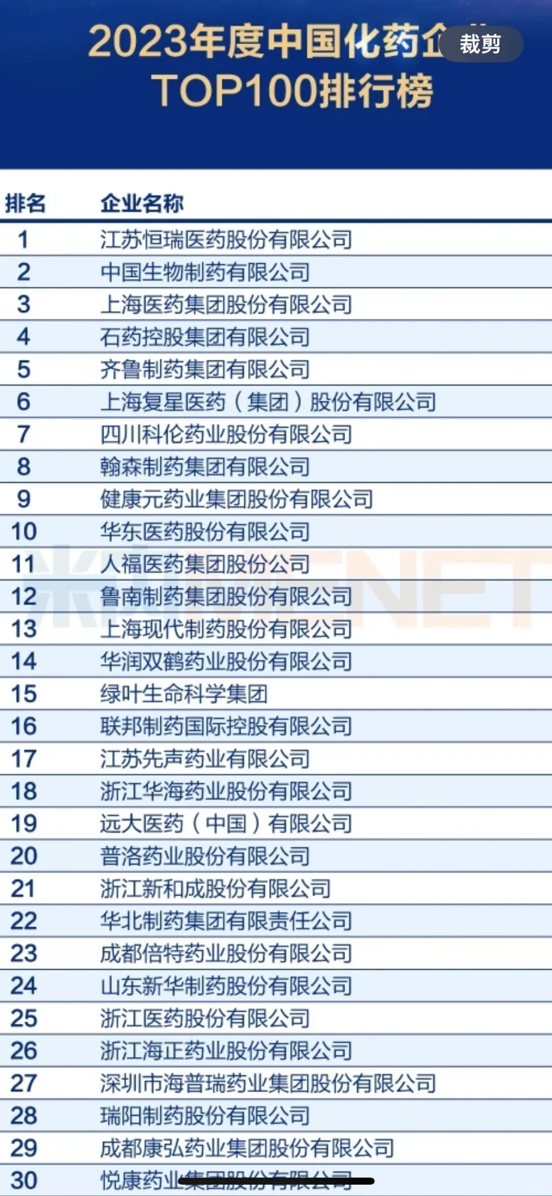 中国化药企业TOP100强