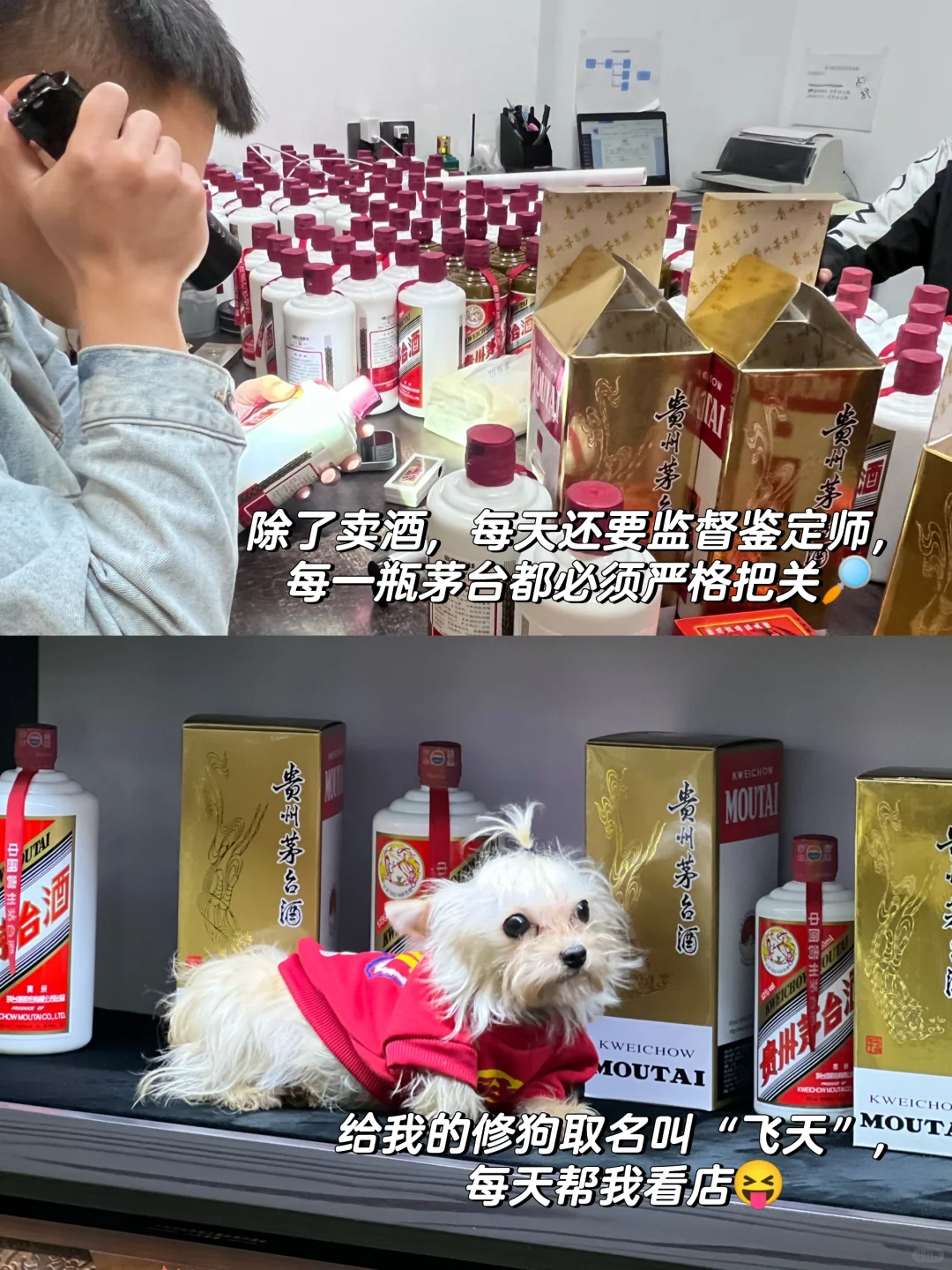 95后体制内女孩裸辞开烟酒店❗