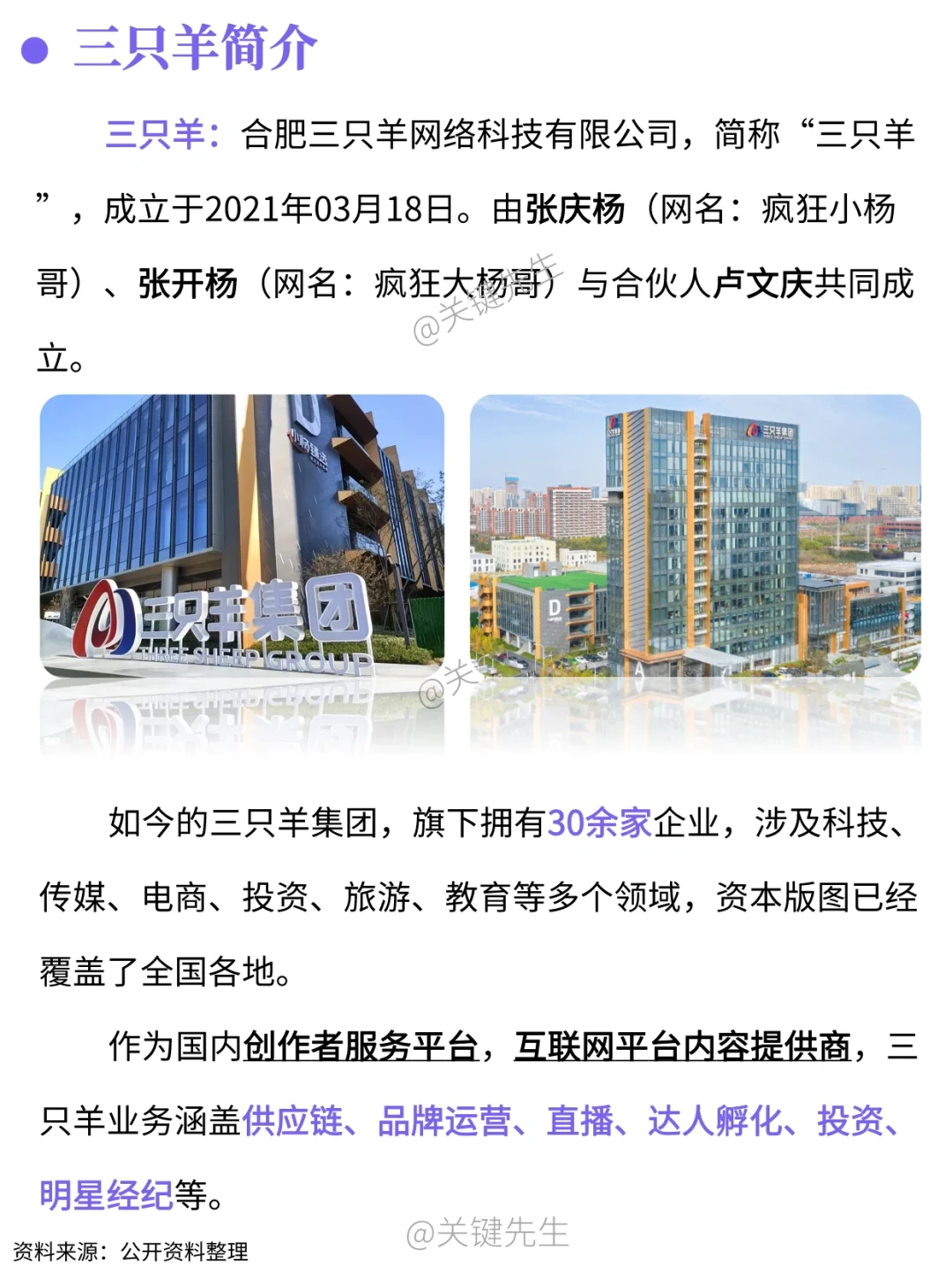 一天吃透一家龙头公司 NO.6 三只羊集团