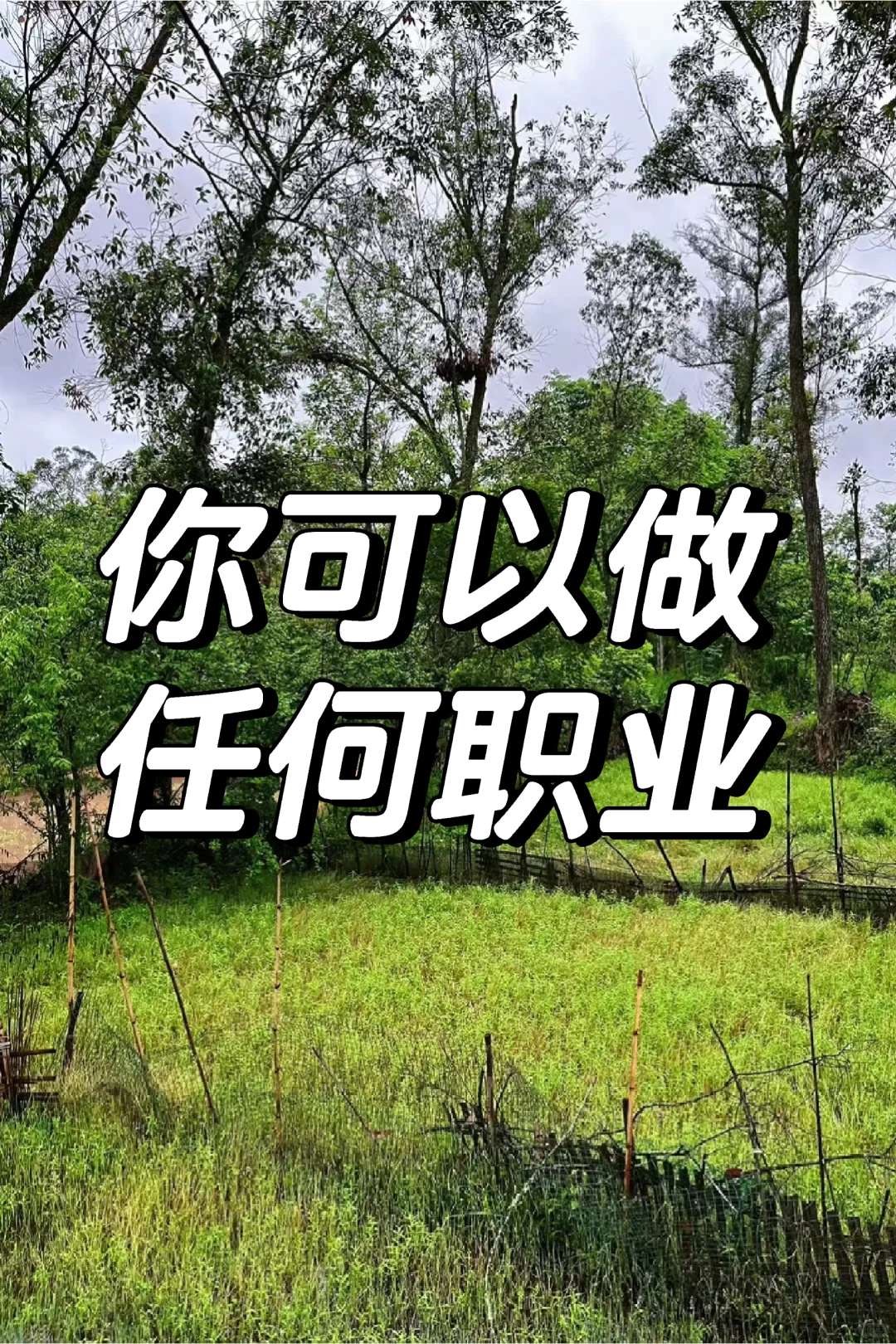 亲爱的，你可以从事任何工作和行业