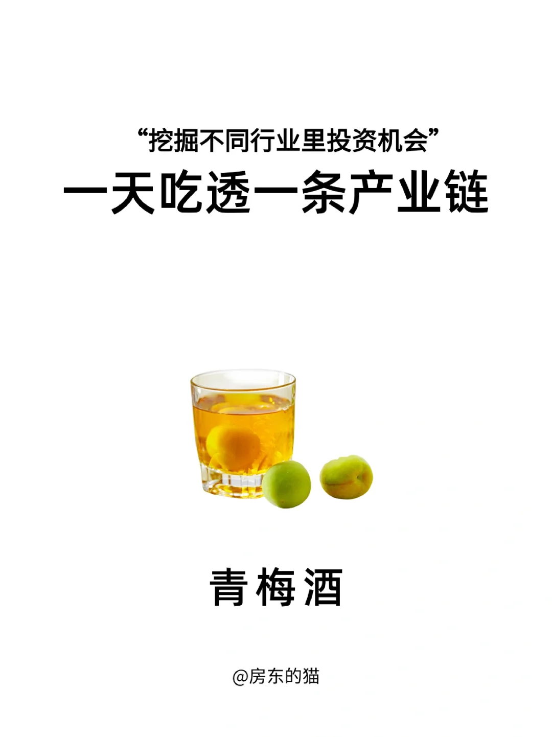 一天吃透一条产业链: NO8青梅酒