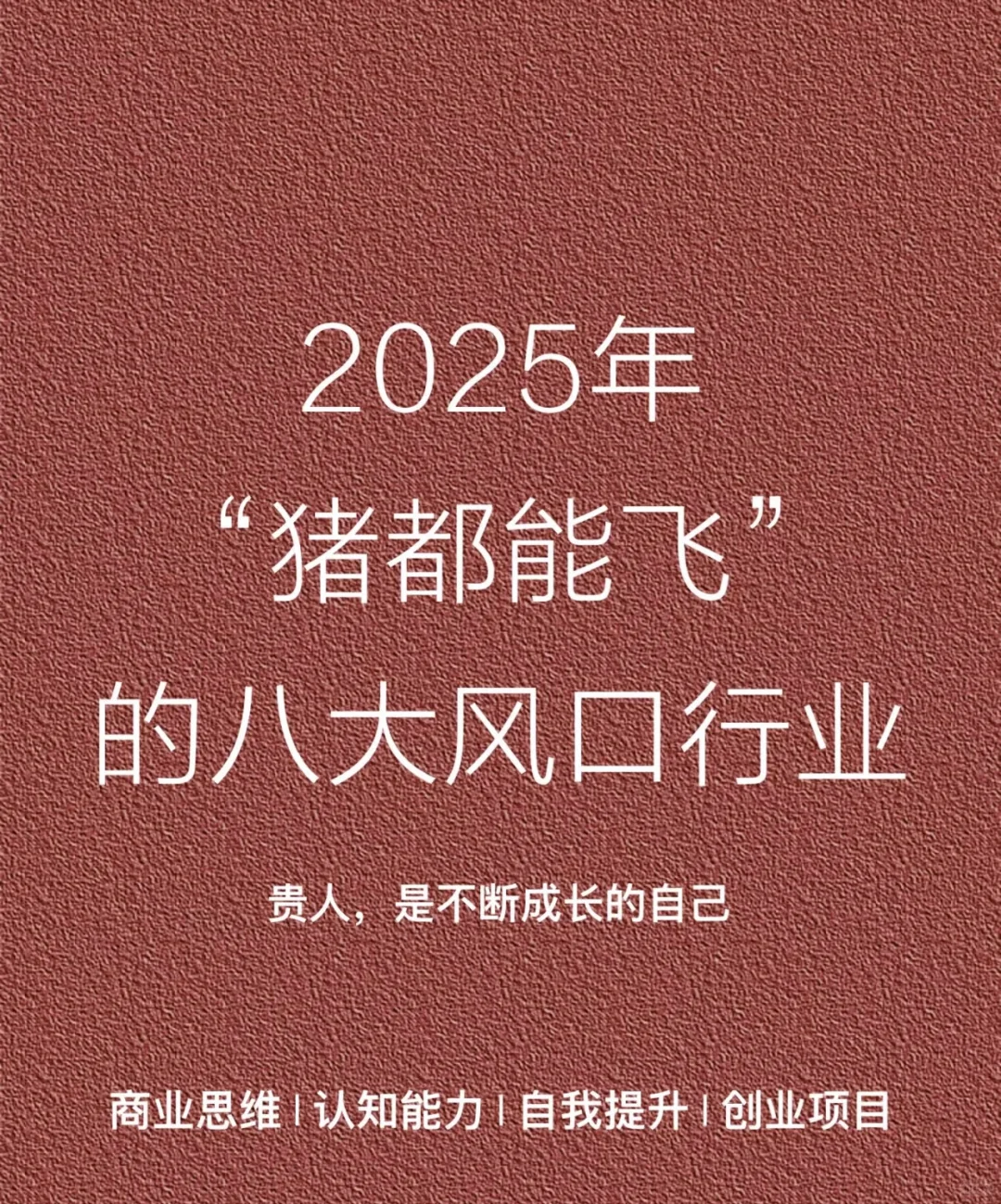 2025“猪都能飞”的八大风口