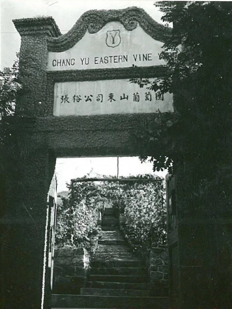 中国近现代葡萄酒的发展：曾拿下世博会金奖