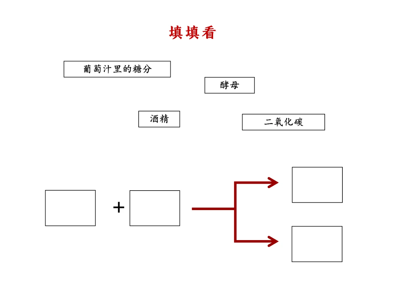 ?最强入坑指南｜看完比身边99%人更懂酒