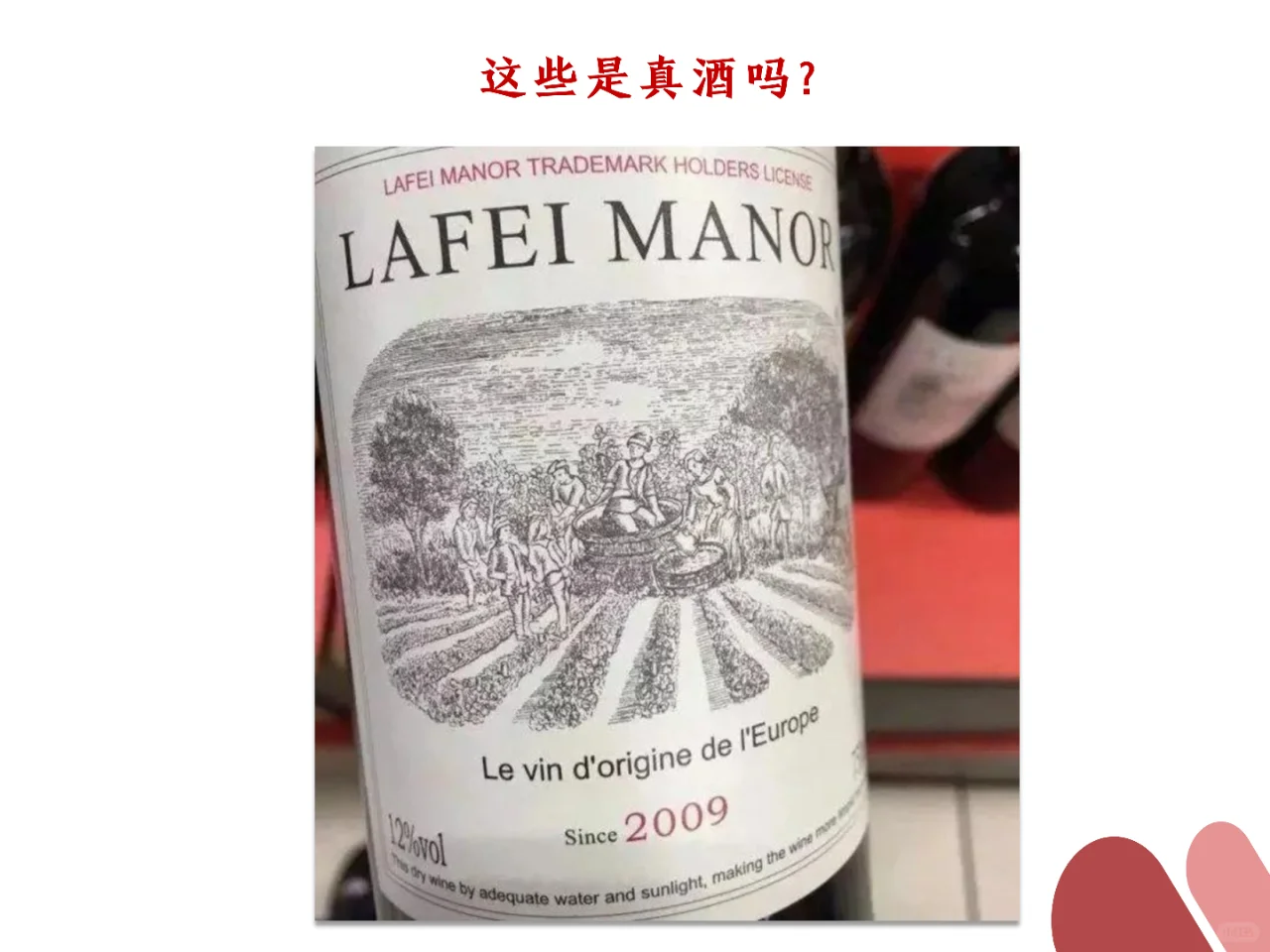 ?最强入坑指南｜看完比身边99%人更懂酒