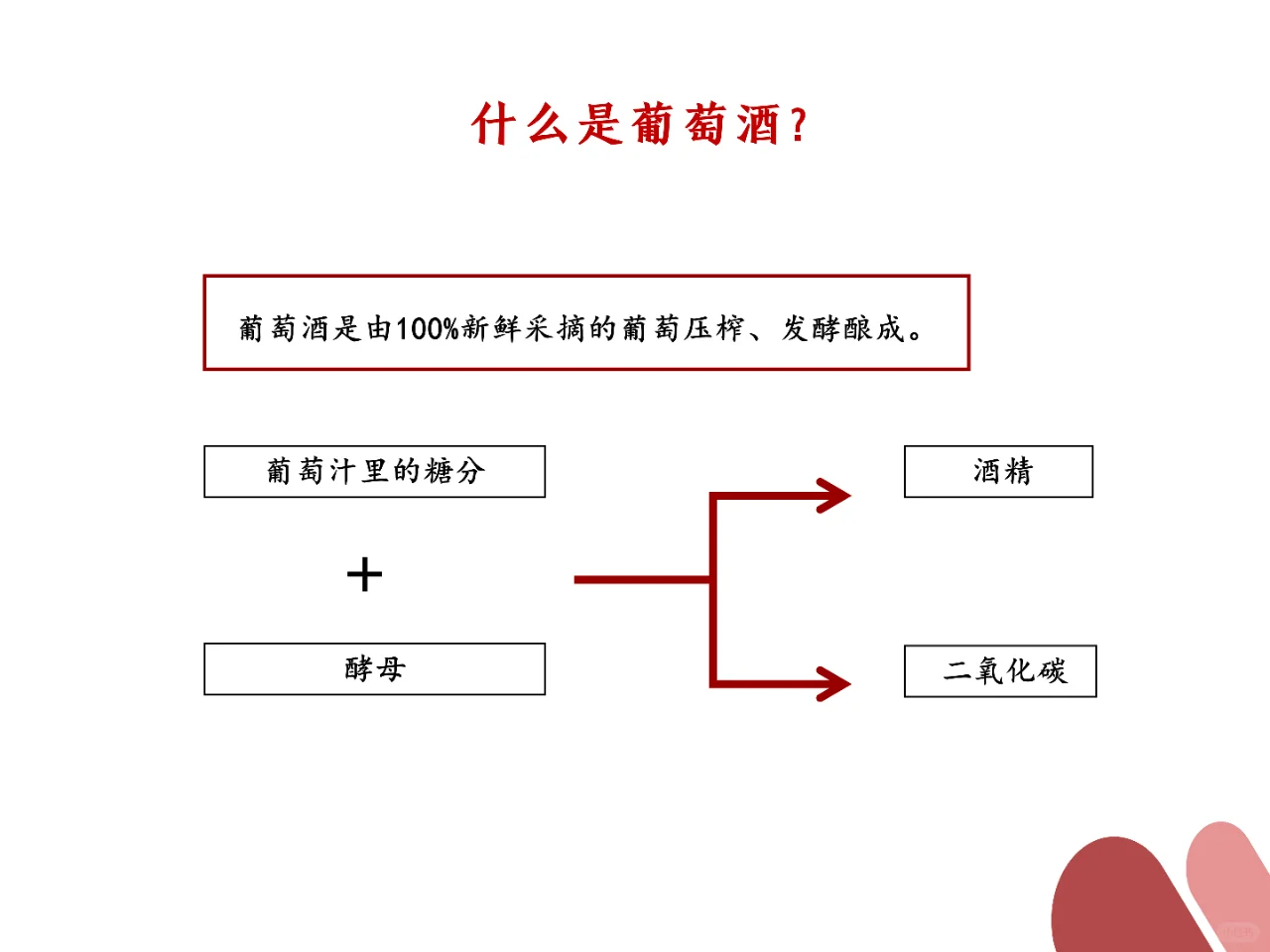 ?最强入坑指南｜看完比身边99%人更懂酒