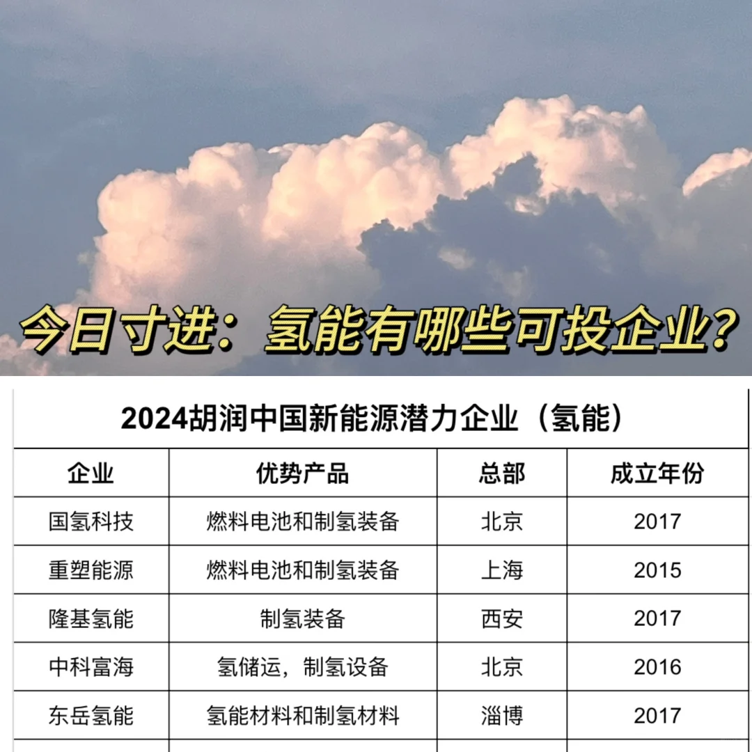 今日寸进：氢能有哪些可投企业？