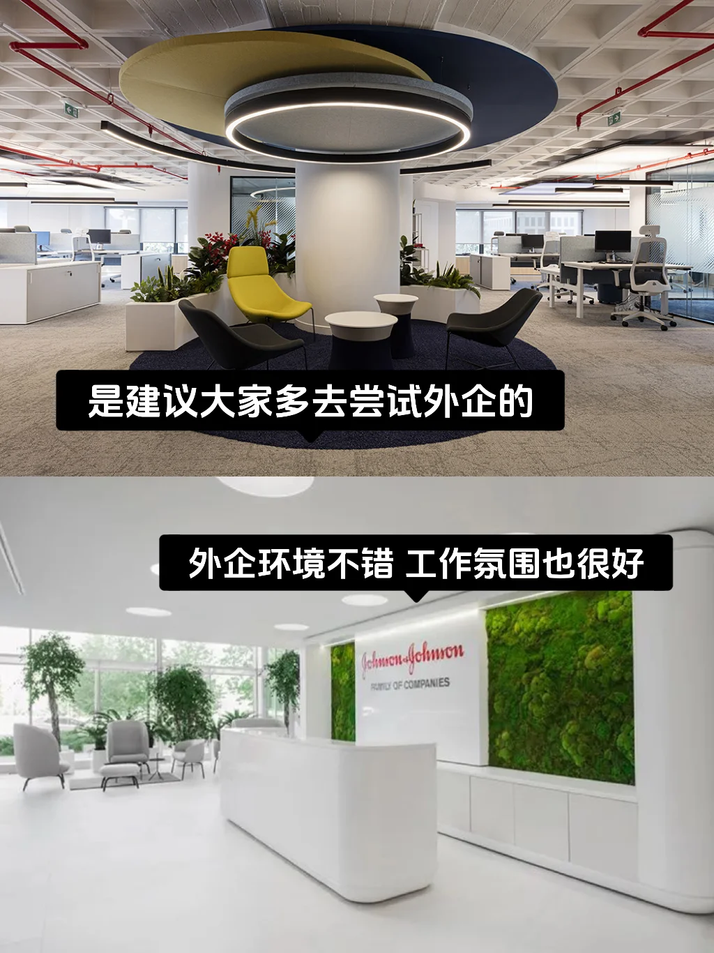小众冷门但好进的：重庆外企