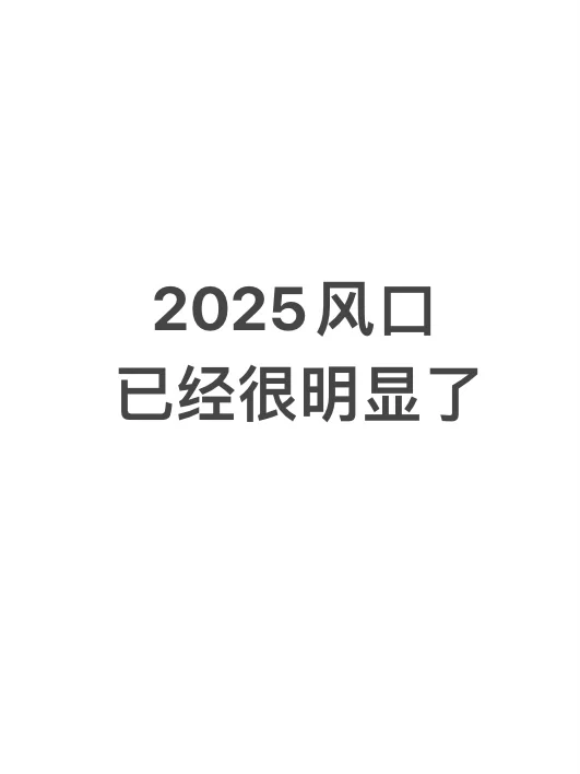 2025风口已经很明显了……