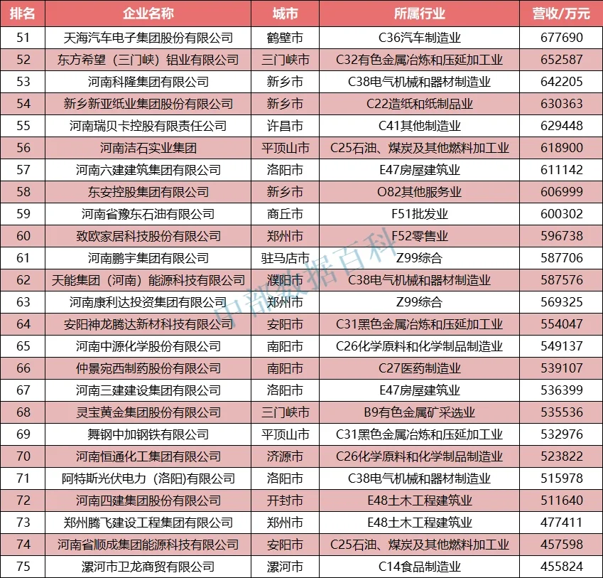 2022年河南省民营企业营收100强公布