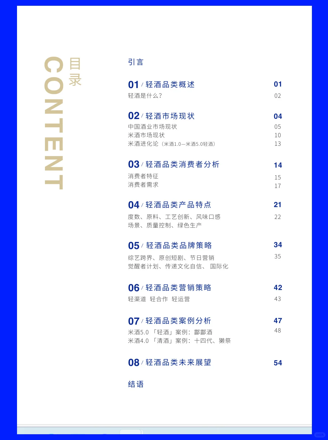 2025轻酒白皮书-62页
