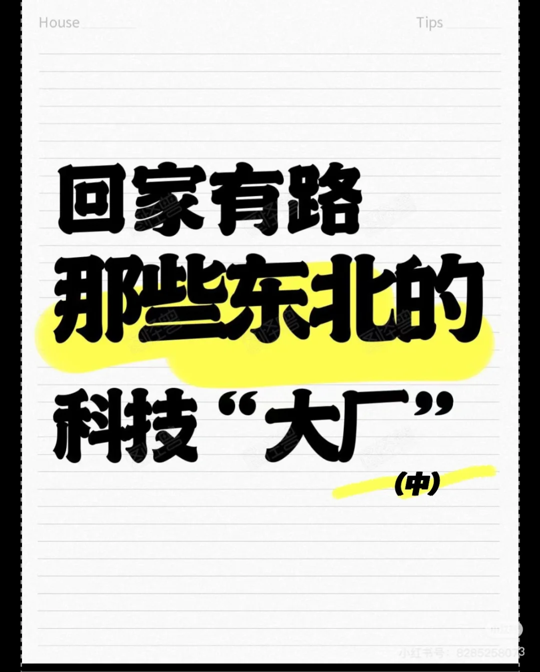 特辑 | 回家有路—那些东北的科技“大厂”