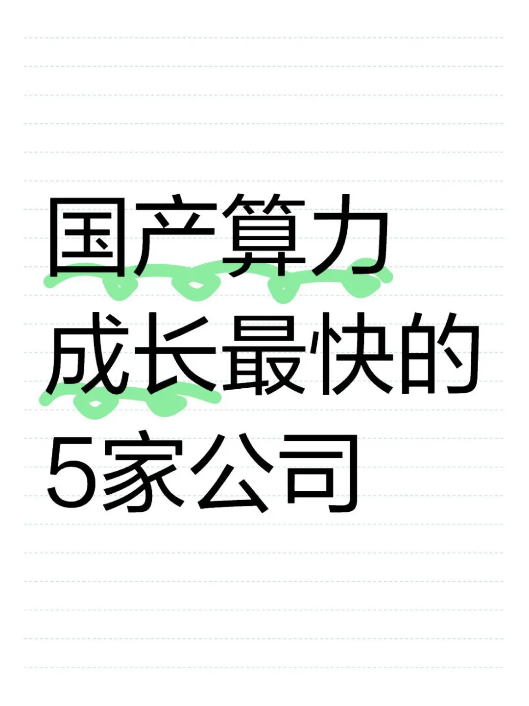 国产算力，成长最快的5家公司