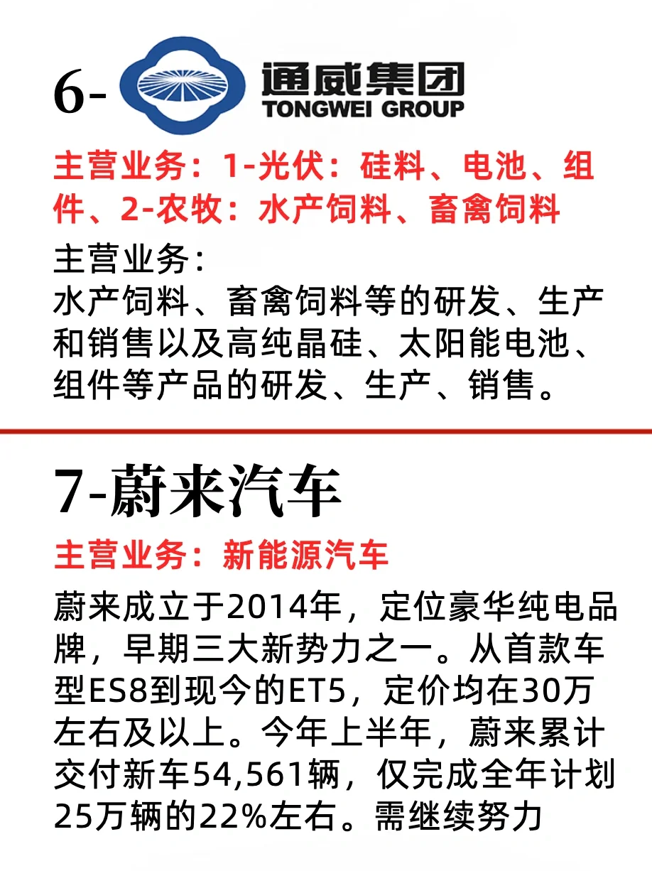 新能源四大领域前十强企业