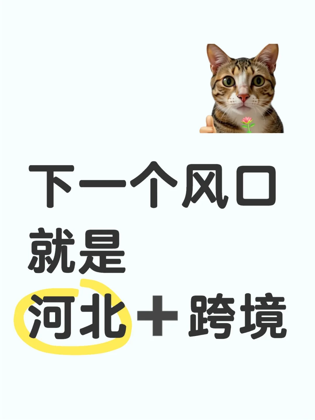 河北+跨境✨下一个风口来袭