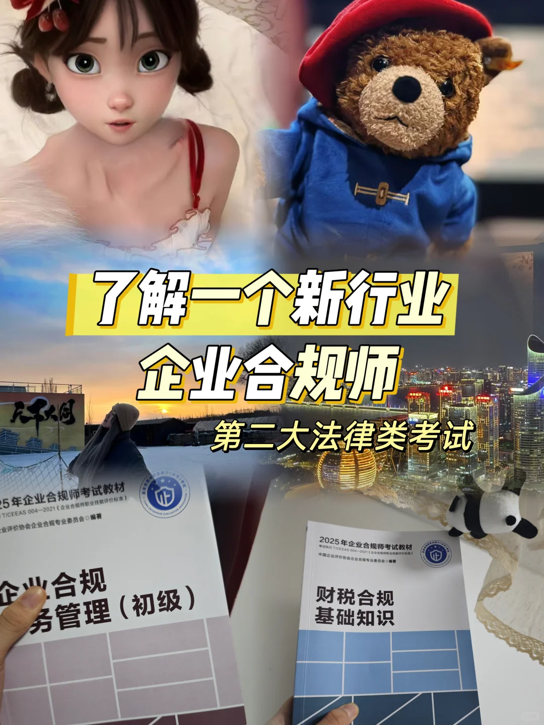 了解一个新行业—企业合规师