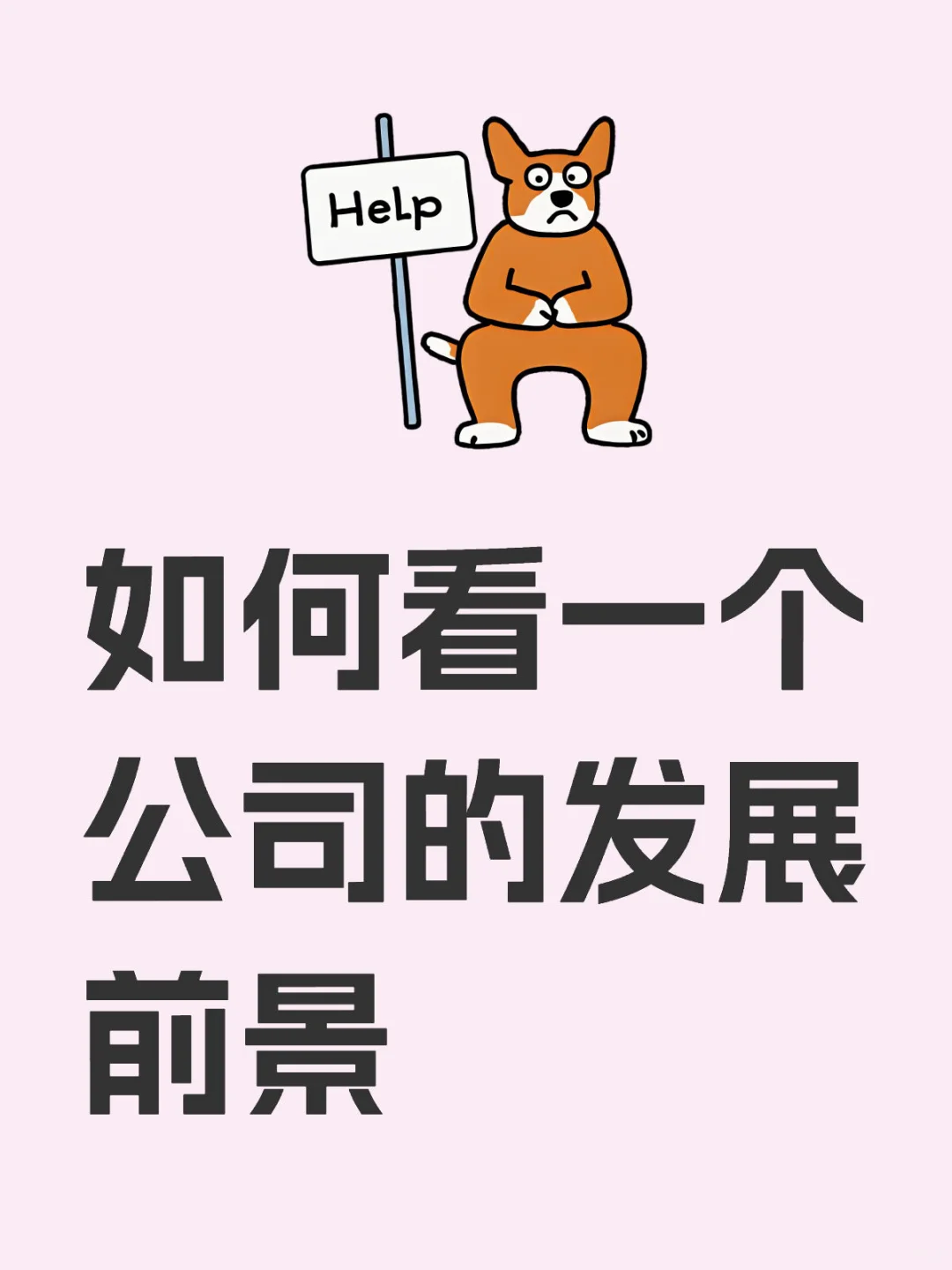 如何看一个公司的发展前景