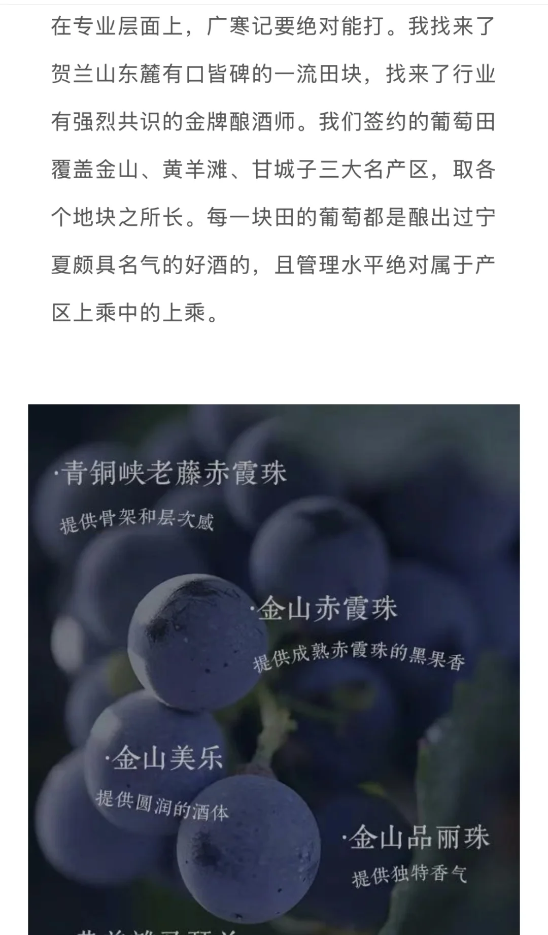 作为品牌人，对醉鹅娘新创的红酒品牌很失望