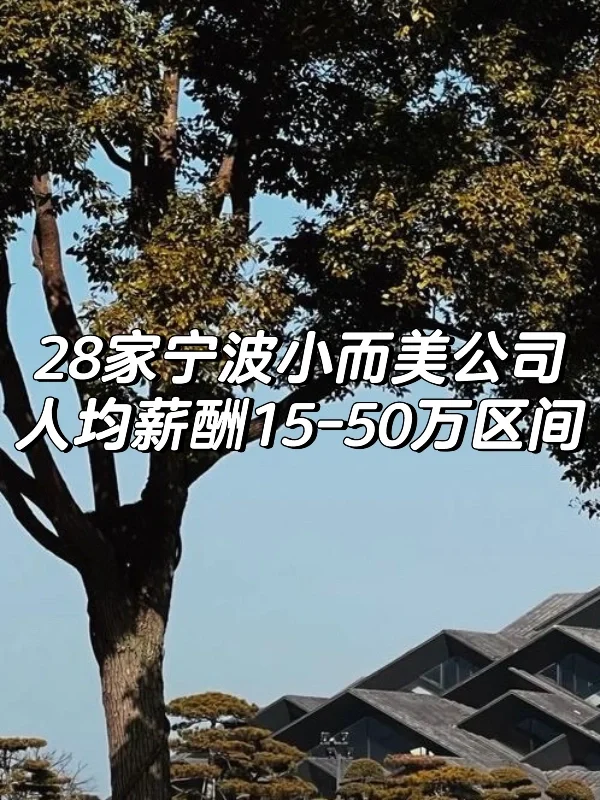 28家宁波小而美公司，人均年薪普遍15-50万！